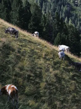 2207 AMA Stay 01 108