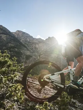 Downhill Biker during a Bike Holiday in the Dolomites