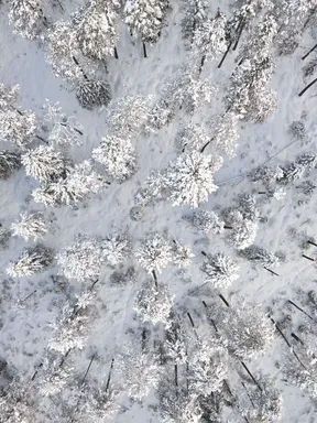 Winter in the Dolomites
