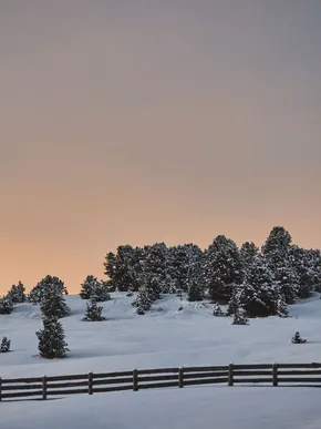 Ama stay flipflopcollective v1 799