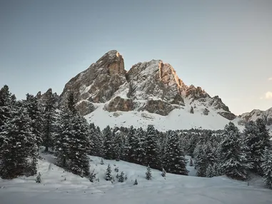 Ama stay flipflopcollective v1 779