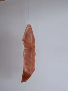 What remains of a butterfly2 Christine Runggaldier