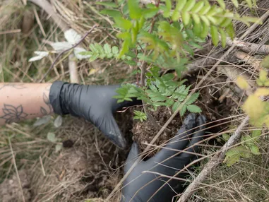 AMA Stay: responsabilità vissuta